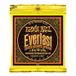 Ernie Ball 2556 Everlast Coated Bronze Medium Light snarenset
