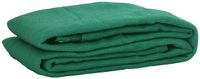 vidaXL Aanhangwagennet - 3x6 m - HDPE - Groen