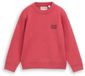 Tom Tailor - Oversized gebreide trui met print - Berry Red