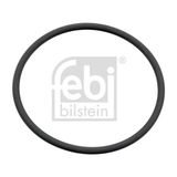 FEBI BILSTEIN Dichtring 179286
