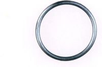 Gloria O-ring 501540