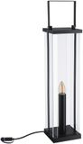 Paulmann Plug & Shine - Lantaarn - 2W - Zwart - 69.5cm