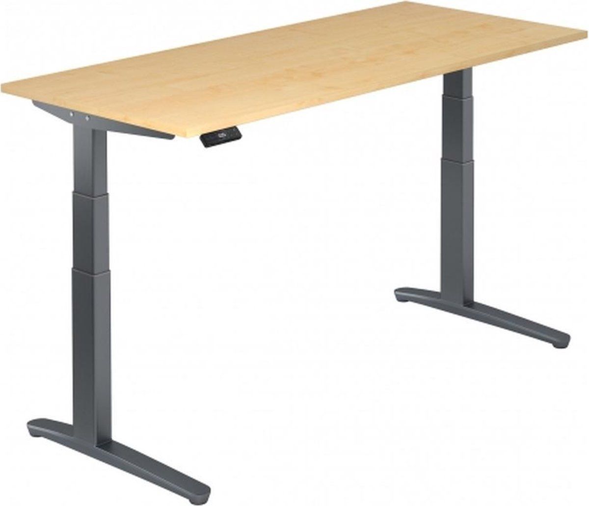 hjh OFFICE PRO Xbhm 19 GG Esdoorn - 2022 Model