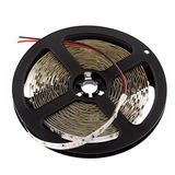 LED-strips LED Universum LED-strips rood 12V, 500cm, 120 LEDs/m (300 stk.), IP20