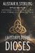 LA ESTIRPE DE LOS DIOSES. Mitología celta y arquetipos para forjar un carácter firme: Dioses, héroes y leyendas de Irlanda, Escocia, Gales y Bretaña; ... disciplina y valores en la vida diaria.