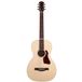 Godin Rialto Naturel RN GT EQ guitare folk électro-acoustique