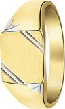 Lucardi Heren Zilveren bicolor goldplated heren zegelring mat/glans - Ring - 925 Zilver - Goudkleurig - 17 / 53 mm