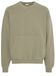 Solid Oswynn Sweatshirt