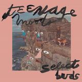 Sonic Rendezvous Teenage Moods - Select Buds (12" Single)