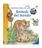 Animali La Coccinella Animali del mondo