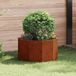 Maison Exclusive - Bac à plantes rouillé 60 x 60 x 35 cm Acier résistant aux intempéries