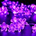 Lila Guirlande lumineuse avec Pile et alimentation USB - Lot de 2 - 3 m - 20 LED