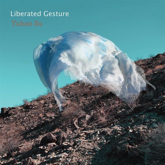 Sonic Rendezvous Yuhan Su - Liberated Gesture (CD)