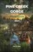 PINE CREEK GORGE TRAVEL GUIDE 2027