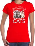 Bellatio Decorations Kitten Rood Kerstshirt / Kerstkleding All i want for Christmas is cats voor dames L