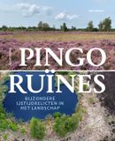 Pingoruïnes: 20 Leafdesdichten en in liet fan wanhoop BV Pingoruïnes