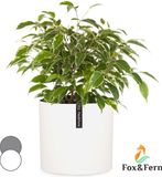 Fox & Fern Bloempot met stop, Bloempot groot voor binnen/buiten, Sierpot UV- & vorstbestendig, Polystone-bloempotten wit, Bloempot 25 cm diameter, Grote plantenpot voor kamerplanten