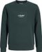 JACK&JONES JUNIOR - JJESOHO SWEAT CREW NECK SN JNR Pull garçon