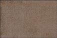 Wash+Dry Grote Deurmat Taupe 120x180cm - Antislip & Wasbaar