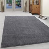 Ayyildiz Hali ATA1201707000LIGHTGREY tapis Rectangle Polypropylène (PP) Gris Clair