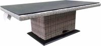 AVH-Collectie Miami lounge-diningtafel 160x90x47-71 cm grijs verstelbaar