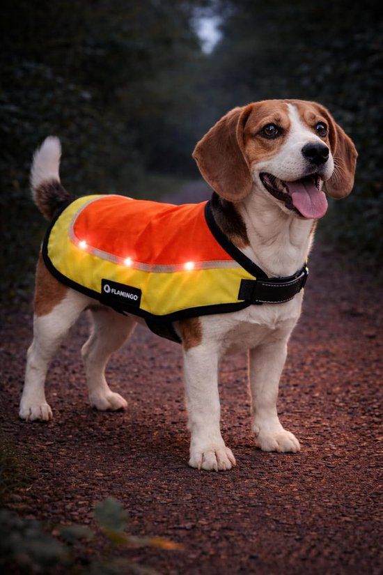 Flamingo Hondenjas – Regenjas hond – Veiligheidsvest Simi Fluo oranje M