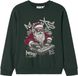 NAME IT Jongens Sweater 146/152 Groen Katoen