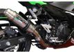 GPR Exhaust Systems Deeptone Inox Kawasaki Z 400 18-20 Euro 4 Satin Silver Slip On Auspuff
