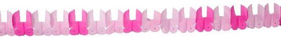 Folat Papierenslinger Wieg Meisje 6mtr Roze