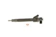 BOSCH Einspritzdüse 0445110191