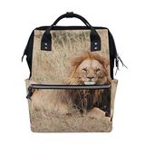MONTOJ Lying African Lion canvas Reistas Campus Rugzak