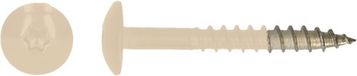 pgb-Europe PGB-FASTENERS HPL schroef Tx20 4,8x38 RVS RAL1015 Lenskop 100 stuks