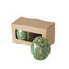 BOLTZE Cabbage 2054415 2-delige set, groen, keramiek, hoogte 7,5 cm, inhoud 135 ml, geschikt voor de vaatwasser, zout- en peperstrooier, kruidenstrooier
