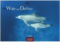 Wale Casares Fine Art Edition Wale und Delfine Kalender 2027 - Wandkalender | Fotokalender Tierkalender 35x50cm Grosses Format - Hochwertige Fotografien von Walen und Delfinen, die jeden Monat begeistern.