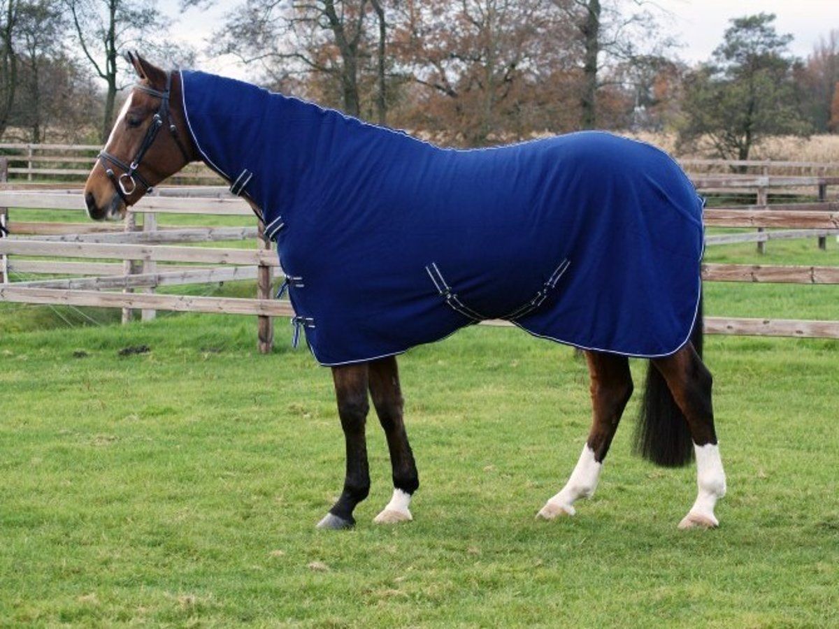 QHP Fleece Halsdeken Basic met singels - Blue - 195