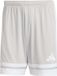 Adidas Squadra25 Heren Short Shorts - Grijs - XL