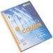 D.RECT PVC afdekbladen, A4, 150 micron, transparant, pak van 100