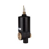 RIEGLER 101602-65/0-S Automatische afvoerklep, G1/4 i./G1/8 a., 1 st.