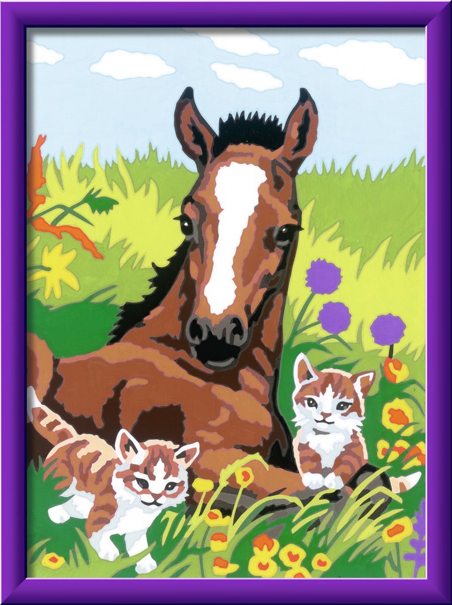 Ravensburger Schilderen op Nummer Paard met kittens - Hobbypakket