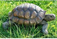 Decoratie Landschildpad - Levensecht - Bruin - Polyresin