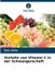 Vorteile Verlag Unser Wissen Vorteile von Vitamin C in der Schwangerschaft Paperback