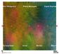 Balagan: Accentus Music Balagan (CD)