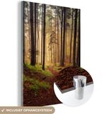 MuchoWow® Glass Painting 90x120 cm - Acrylic Glass Painting - Trees - Nature - Forest - Photo on Glass - Paintings
