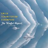 The Andy Emler Trio - The Useful Report (CD)