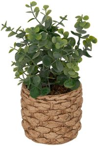 ATMOSPHERA CREATEUR D'INTERIEUR Kunst-Eukalyptus JAYE
