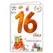 Age MV Joyeux Anniversaire 69-2016 kaart voor jongens en meisjes, 16 jaar, speciaal voor jongens en meisjes, scooter, geschenken Hamburger Basket Foot nagellak Happy Birthday