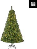 Black Box Charlton x-mas tree led green 400L TIPS 989 - h230xd135cm