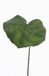 Top Art galax blad extra large, plastic groene steel, dia20cm, 50cm lang
