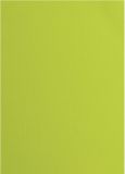 Florence Karton structuur A4 Lime