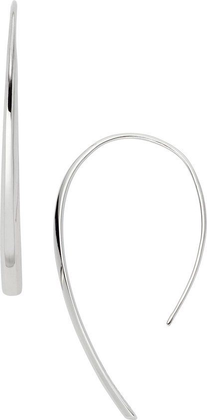 Fossil Iconic JF01702040 Dames Oorhangers - Zilver